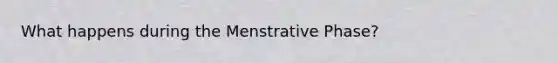 What happens during the Menstrative Phase?