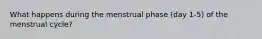 What happens during the menstrual phase (day 1-5) of the menstrual cycle?