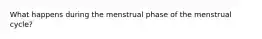 What happens during the menstrual phase of the menstrual cycle?