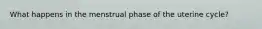 What happens in the menstrual phase of the uterine cycle?