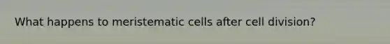 What happens to meristematic cells after cell division?