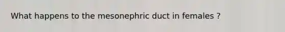 What happens to the mesonephric duct in females ?