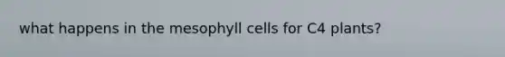 what happens in the mesophyll cells for C4 plants?