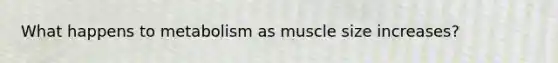 What happens to metabolism as muscle size increases?