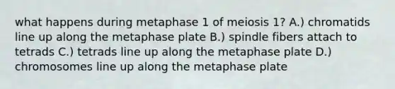 what happens during metaphase 1 of meiosis 1? A.) chromatids line up along the metaphase plate B.) spindle fibers attach to tetrads C.) tetrads line up along the metaphase plate D.) chromosomes line up along the metaphase plate