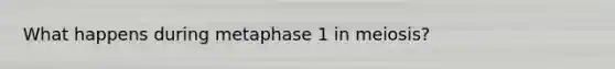 What happens during metaphase 1 in meiosis?
