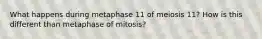 What happens during metaphase 11 of meiosis 11? How is this different than metaphase of mitosis?