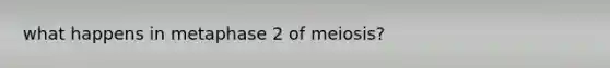 what happens in metaphase 2 of meiosis?