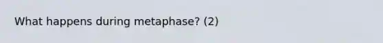 What happens during metaphase? (2)