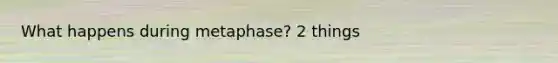 What happens during metaphase? 2 things