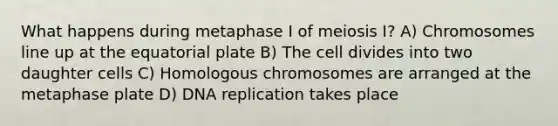 What happens during metaphase I of meiosis I? A) Chromosomes line up at the equatorial plate B) The cell divides into two daughter cells C) Homologous chromosomes are arranged at the metaphase plate D) DNA replication takes place