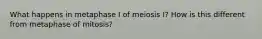 What happens in metaphase I of meiosis I? How is this different from metaphase of mitosis?