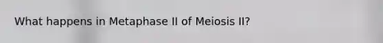 What happens in Metaphase II of Meiosis II?