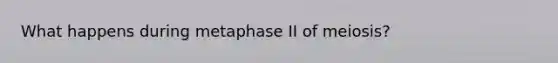 What happens during metaphase II of meiosis?
