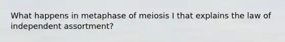 What happens in metaphase of meiosis I that explains the law of independent assortment?