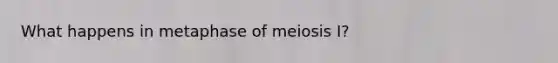 What happens in metaphase of meiosis I?