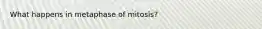 What happens in metaphase of mitosis?