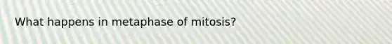 What happens in metaphase of mitosis?