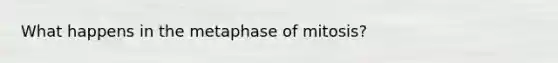 What happens in the metaphase of mitosis?