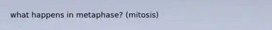 what happens in metaphase? (mitosis)