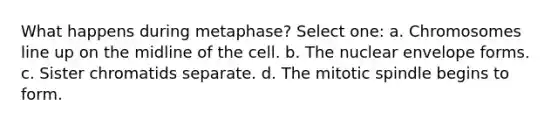 What happens during metaphase? Select one: a. Chromosomes line up on the midline of the cell. b. The nuclear envelope forms. c. Sister chromatids separate. d. The mitotic spindle begins to form.