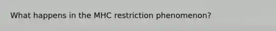 What happens in the MHC restriction phenomenon?