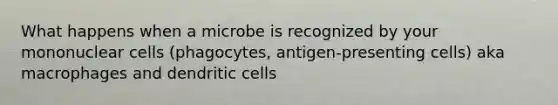 What happens when a microbe is recognized by your mononuclear cells (phagocytes, antigen-presenting cells) aka macrophages and dendritic cells