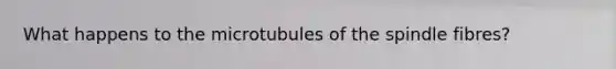 What happens to the microtubules of the spindle fibres?