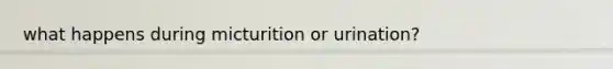 what happens during micturition or urination?