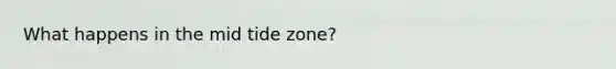 What happens in the mid tide zone?