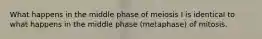 What happens in the middle phase of meiosis I is identical to what happens in the middle phase (metaphase) of mitosis.