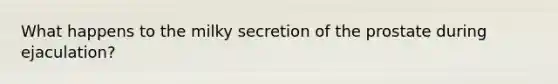 What happens to the milky secretion of the prostate during ejaculation?