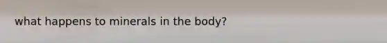 what happens to minerals in the body?