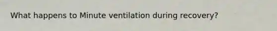 What happens to Minute ventilation during recovery?