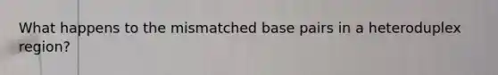What happens to the mismatched base pairs in a heteroduplex region?