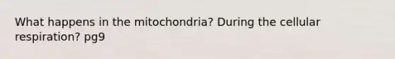 What happens in the mitochondria? During the <a href='https://www.questionai.com/knowledge/k1IqNYBAJw-cellular-respiration' class='anchor-knowledge'>cellular respiration</a>? pg9