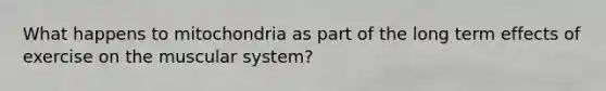 What happens to mitochondria as part of the long term effects of exercise on the muscular system?