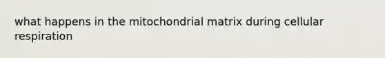 what happens in the mitochondrial matrix during cellular respiration