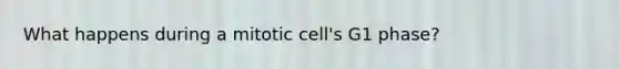 What happens during a mitotic cell's G1 phase?