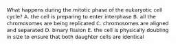 What happens during the mitotic phase of the eukaryotic cell cycle? A. the cell is preparing to enter interphase B. all the chromosomes are being replicated C. chromosomes are aligned and separated D. binary fission E. the cell is physically doubling in size to ensure that both daughter cells are identical