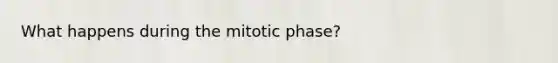 What happens during the mitotic phase?