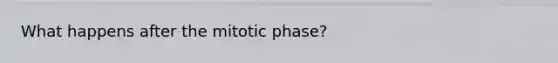 What happens after the mitotic phase?