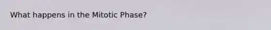 What happens in the Mitotic Phase?