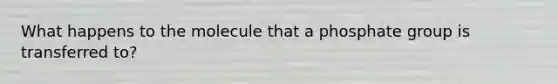What happens to the molecule that a phosphate group is transferred to?