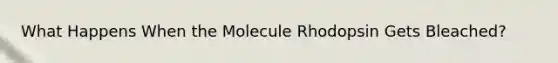 What Happens When the Molecule Rhodopsin Gets Bleached?