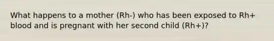 What happens to a mother (Rh-) who has been exposed to Rh+ blood and is pregnant with her second child (Rh+)?