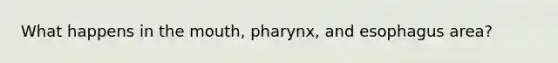 What happens in <a href='https://www.questionai.com/knowledge/krBoWYDU6j-the-mouth' class='anchor-knowledge'>the mouth</a>, pharynx, and esophagus area?