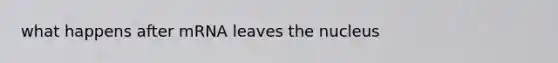 what happens after mRNA leaves the nucleus