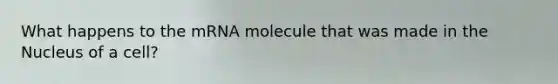 What happens to the mRNA molecule that was made in the Nucleus of a cell?