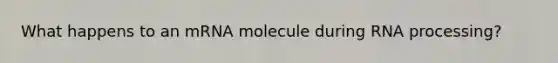 What happens to an mRNA molecule during RNA processing?